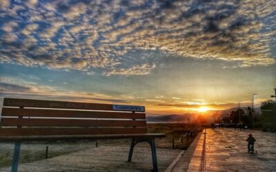 En el país de los gigantes huesudos
