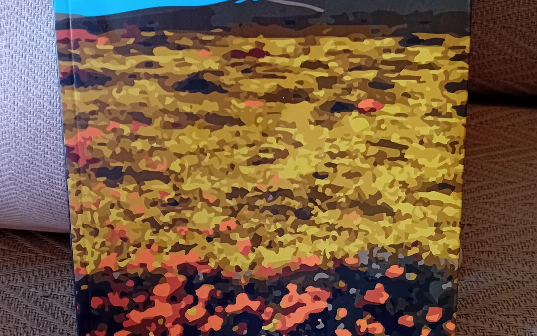 Trencadís, nueve relatos